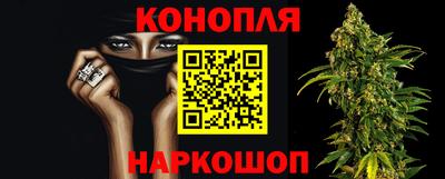 стаф Каменск-Шахтинский