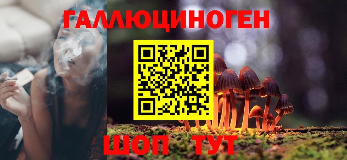 МЕФ   НБОМе  ЭКСТАЗИ  Кыштым  Вход с VPN  Купить наркоту  Гашиш  Конопля 