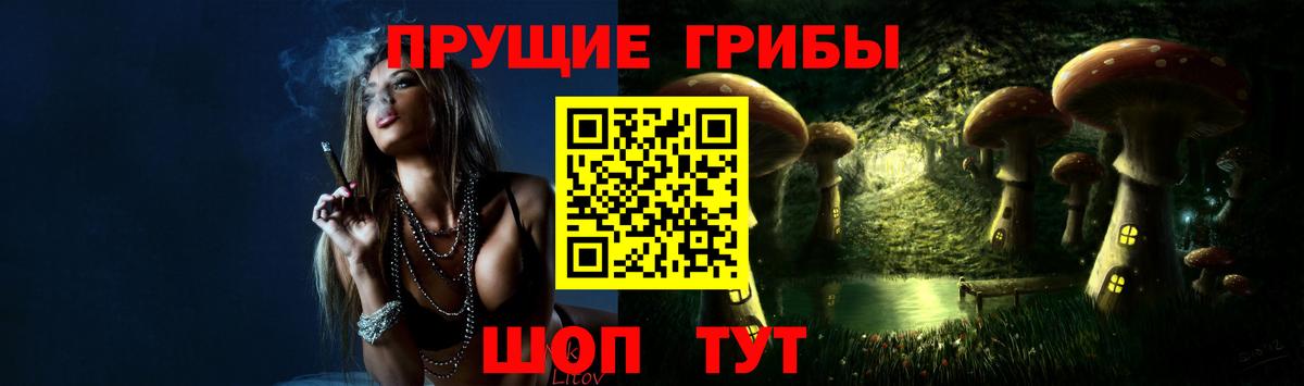 Галлюциногенные грибы GOLDEN TEACHER  Вход с VPN  Кыштым  Псилоцибиновые грибы мицелий 